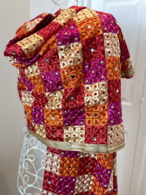 Heavy Multi Colour Phulkari with Stonework Chunni - Image 5